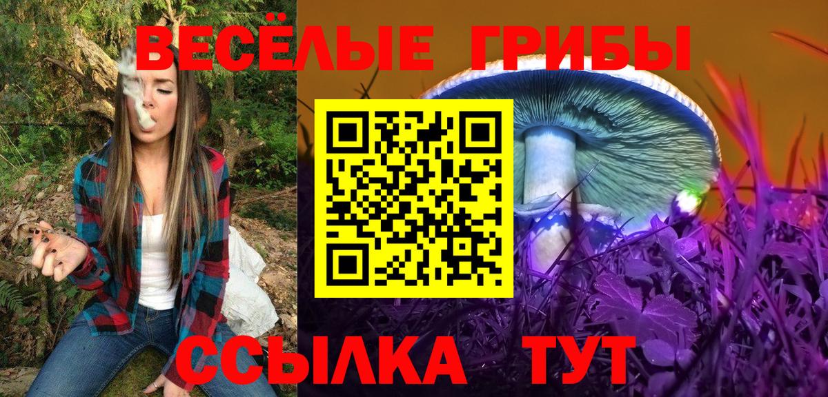 Псилоцибиновые грибы мухоморы Моздок