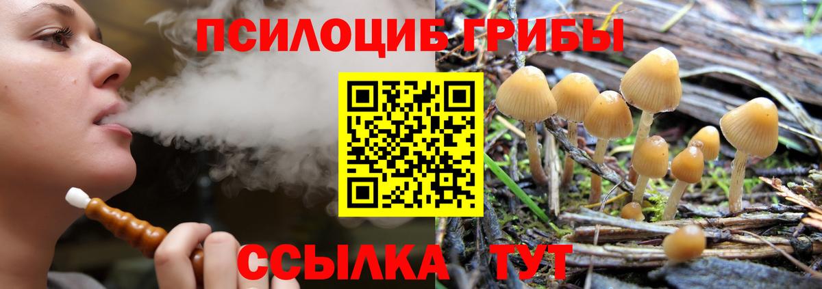 Моздок  Псилоцибиновые грибы MAGIC MUSHROOMS  Вход с VPN 